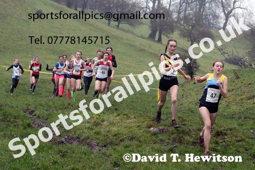 Girls under-15s, NECAA Junior Cross Country Relays, Thornley Farm, Peterlee, Saturday, December 12th. Photo: David T. Hewitson/Sports for All Pics